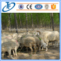 Factory hot sale cattle wire mesh/farm field fence with competitive price